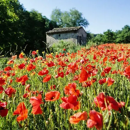 La Danse Des Papillons - D'hotes & Glamping *