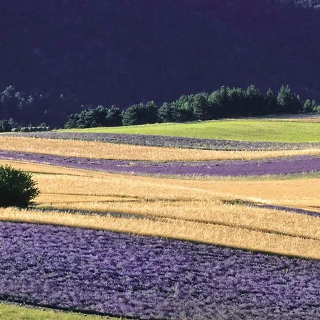 ベッド・アンド・ブレックファスト La Danse Des Papillons - D'hotes & Glamping *